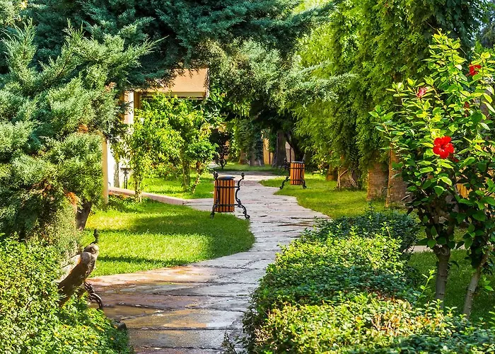 Saritas Only Family Concept 4*