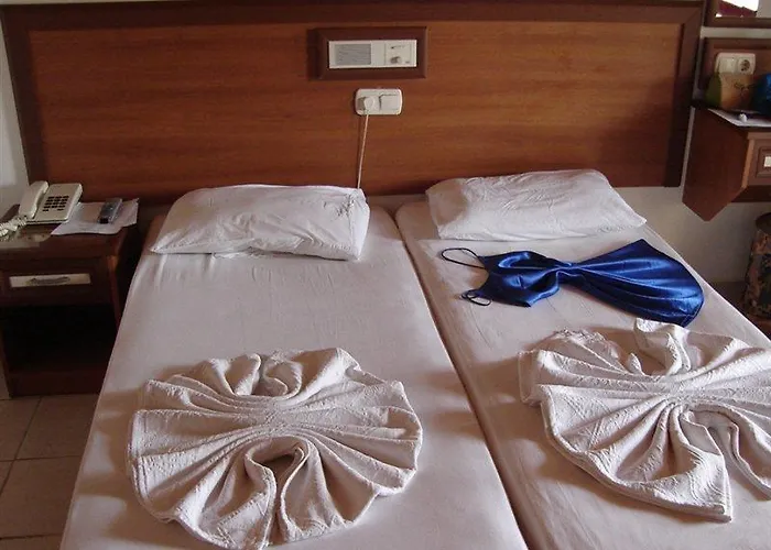 Saritas Only Family Concept