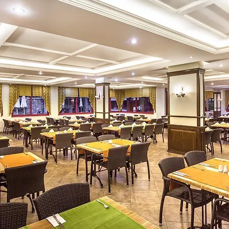Saritas Only Family Concept 酒店 阿拉尼亚